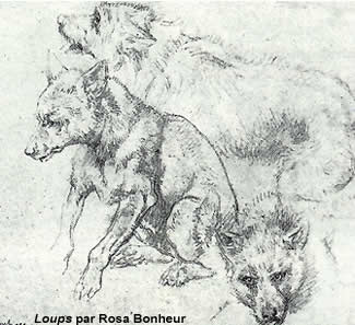 la mort du loup